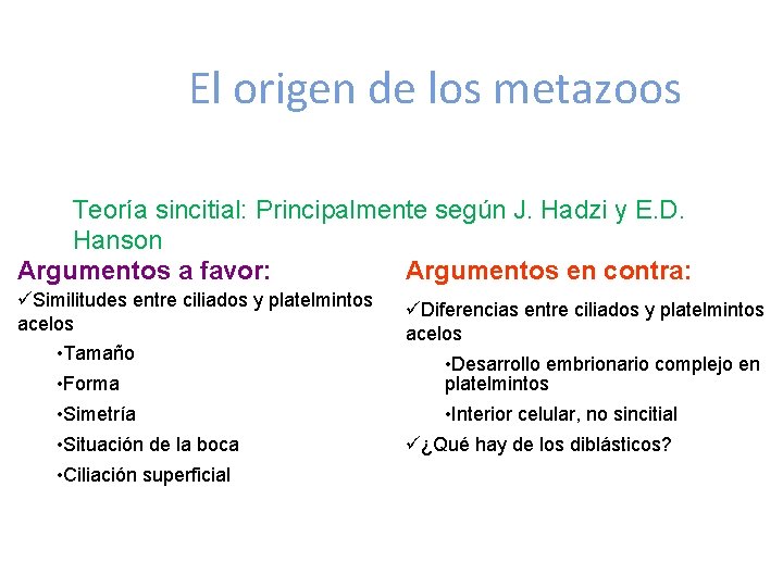 El origen de los metazoos Teoría sincitial: Principalmente según J. Hadzi y E. D.