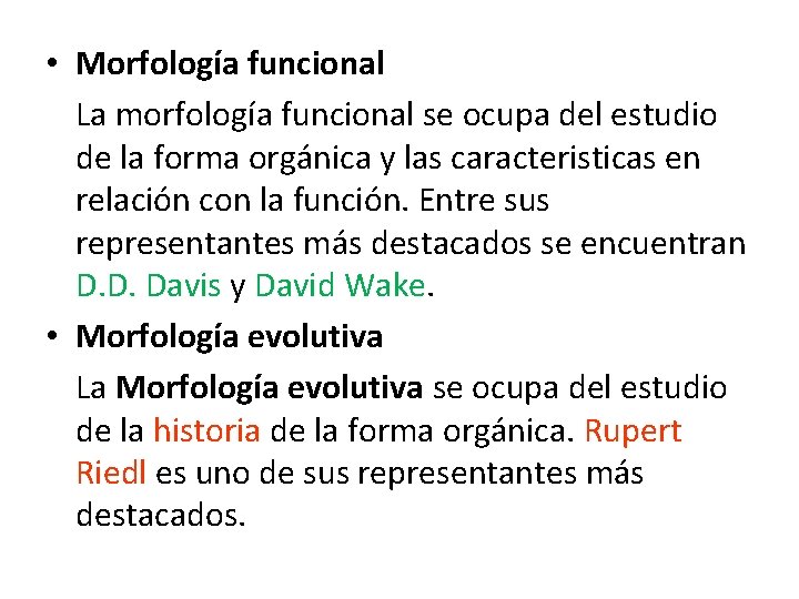  • Morfología funcional La morfología funcional se ocupa del estudio de la forma