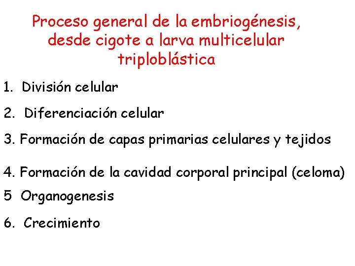 Proceso general de la embriogénesis, desde cigote a larva multicelular triploblástica 1. División celular