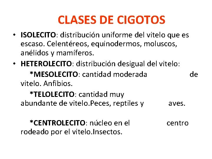 CLASES DE CIGOTOS • ISOLECITO: distribución uniforme del vitelo que es escaso. Celentéreos, equinodermos,