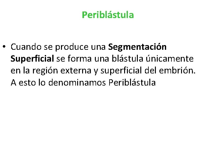 Periblástula • Cuando se produce una Segmentación Superficial se forma una blástula únicamente en