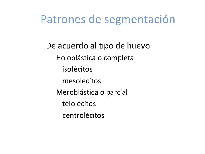 Patrones de segmentación De acuerdo al tipo de huevo Holoblástica o completa isolécitos mesolécitos