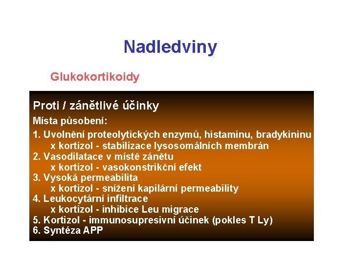 Nadledviny Glukokortikoidy Proti / zánětlivé účinky Místa působení: 1. Uvolnění proteolytických enzymů, histaminu, bradykininu