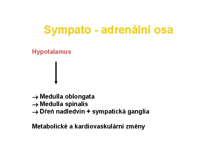 Sympato - adrenální osa Hypotalamus Medulla oblongata Medulla spinalis Dřeň nadledvin + sympatická ganglia