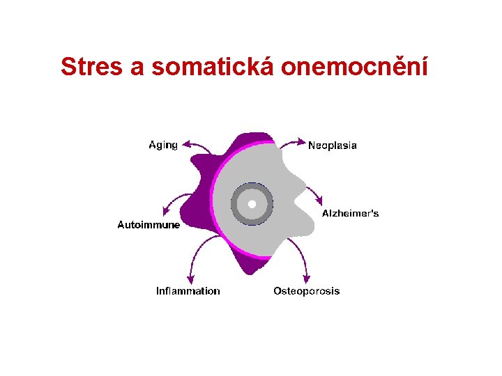 Stres a somatická onemocnění 