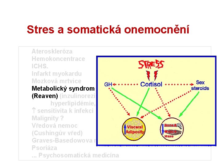 Stres a somatická onemocnění Ateroskleróza Hemokoncentrace ICHS. Infarkt myokardu Mozková mrtvice Metabolický syndrom (Reaven)