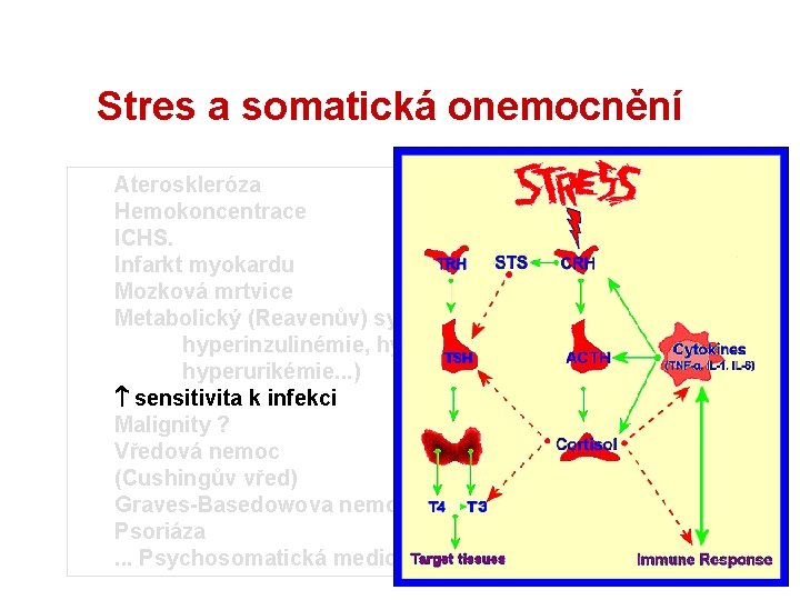 Stres a somatická onemocnění Ateroskleróza Hemokoncentrace ICHS. Infarkt myokardu Mozková mrtvice Metabolický (Reavenův) syndrom