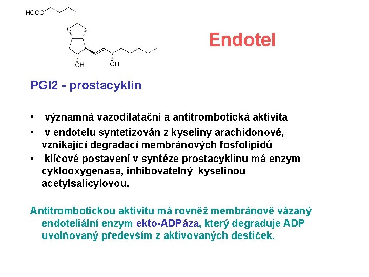 Endotel PGI 2 - prostacyklin • významná vazodilatační a antitrombotická aktivita • v endotelu