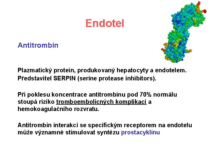 Endotel Antitrombin Plazmatický protein, produkovaný hepatocyty a endotelem. Představitel SERPIN (serine protease inhibitors). Při