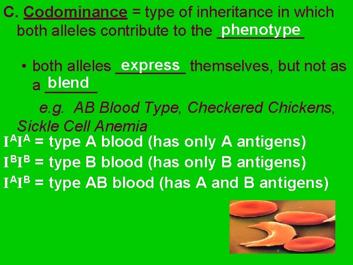C. Codominance = type of inheritance in which phenotype both alleles contribute to the