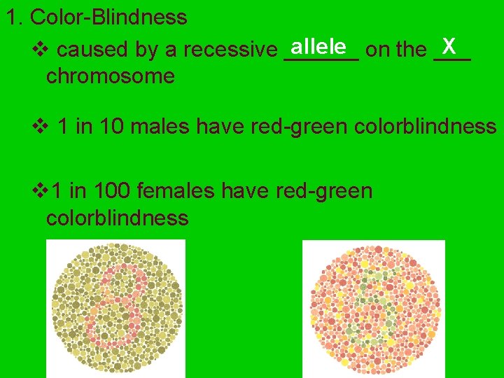 1. Color-Blindness allele on the ___ X v caused by a recessive ______ chromosome