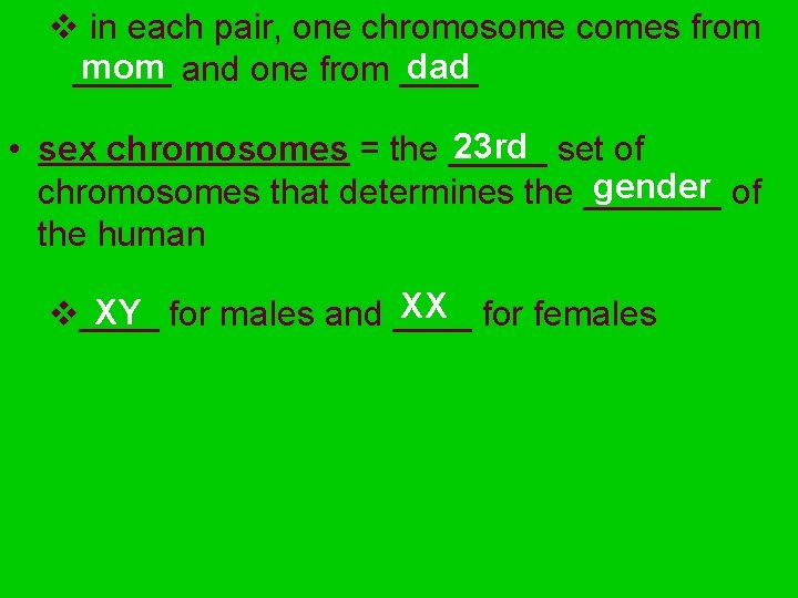 v in each pair, one chromosome comes from mom and one from ____ dad