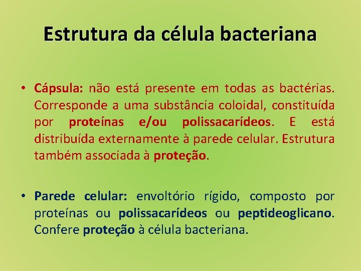 Estrutura da célula bacteriana • Cápsula: não está presente em todas as bactérias. Corresponde