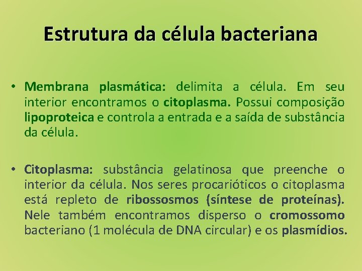 Estrutura da célula bacteriana • Membrana plasmática: delimita a célula. Em seu interior encontramos
