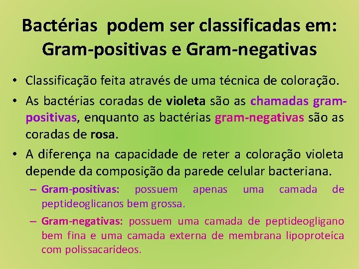 Bactérias podem ser classificadas em: Gram-positivas e Gram-negativas • Classificação feita através de uma