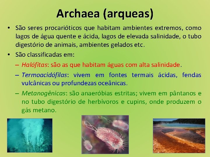 Archaea (arqueas) • São seres procarióticos que habitam ambientes extremos, como lagos de água