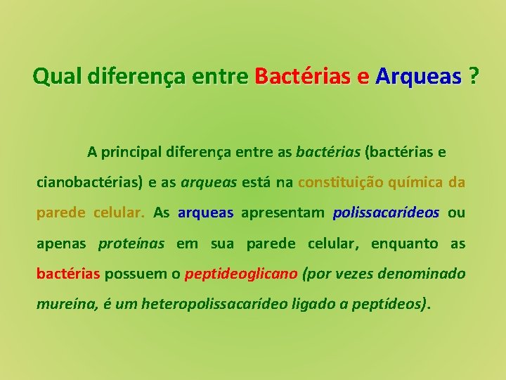 Qual diferença entre Bactérias e Arqueas ? A principal diferença entre as bactérias (bactérias