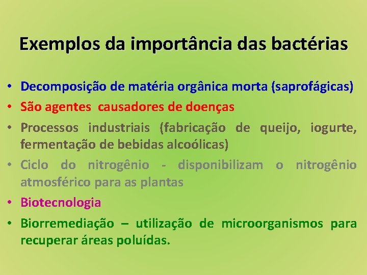 Exemplos da importância das bactérias • Decomposição de matéria orgânica morta (saprofágicas) • São