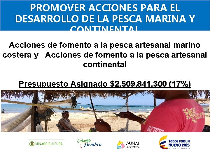 PROMOVER ACCIONES PARA EL DESARROLLO DE LA PESCA MARINA Y CONTINENTAL Acciones de fomento