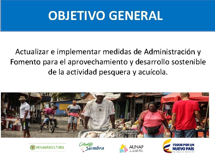 OBJETIVO GENERAL Actualizar e implementar medidas de Administración y Fomento para el aprovechamiento y