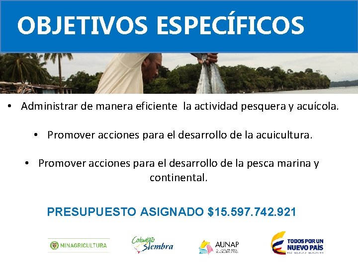 OBJETIVOS ESPECÍFICOS • Administrar de manera eficiente la actividad pesquera y acuícola. • Promover