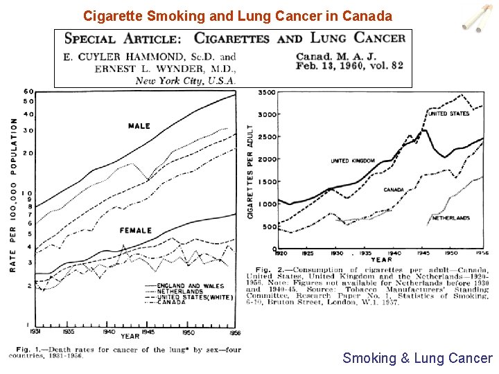 Cigarette Smoking and Lung Cancer in Canada Smoking & Lung Cancer 