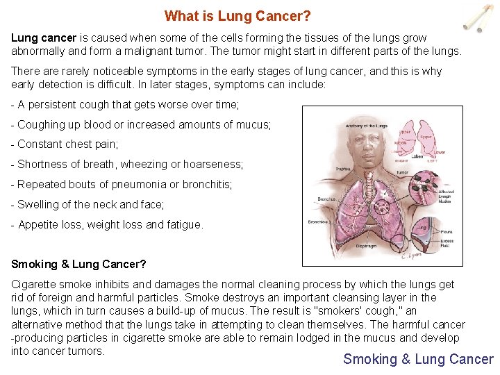 What is Lung Cancer? Lung cancer is caused when some of the cells forming