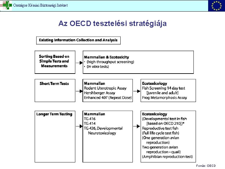 Országos Kémiai Biztonsági Intézet Az OECD tesztelési stratégiája Forrás: OECD 