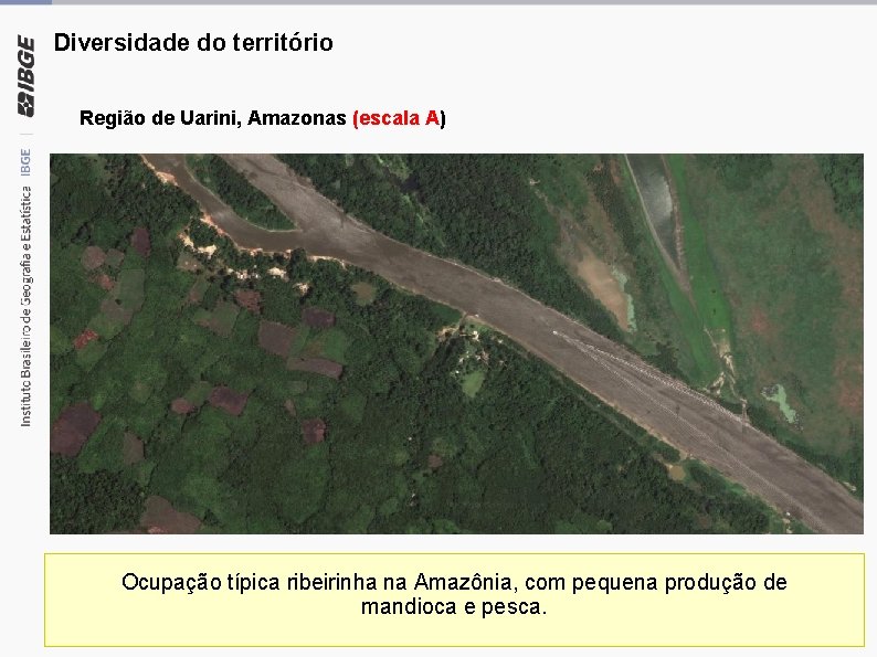 Diversidade do território Região de Uarini, Amazonas (escala A) Ocupação típica ribeirinha na Amazônia,