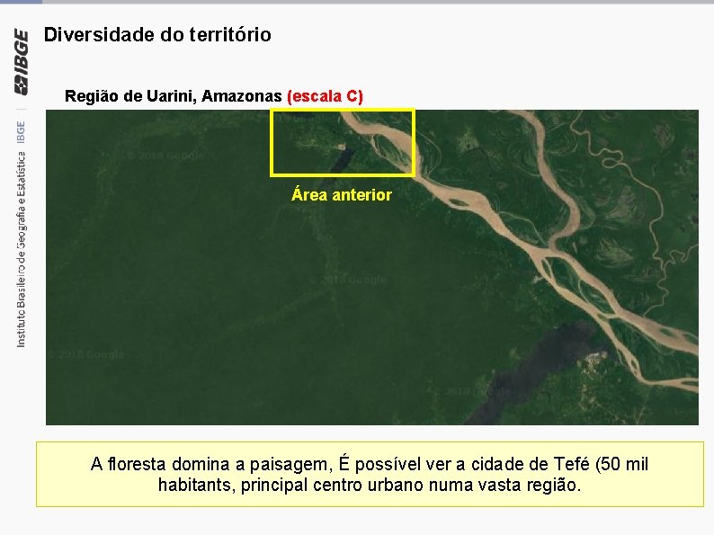 Diversidade do território Região de Uarini, Amazonas (escala C) Área anterior A floresta domina