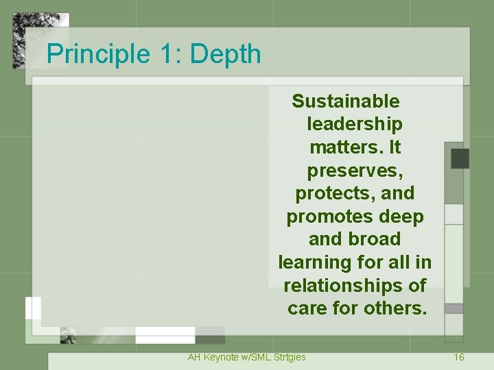 Principle 1: Depth Sustainable leadership matters. It preserves, protects, and promotes deep and broad