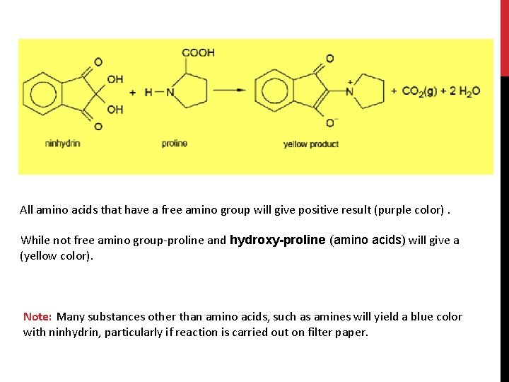 All amino acids that have a free amino group will give positive result (purple