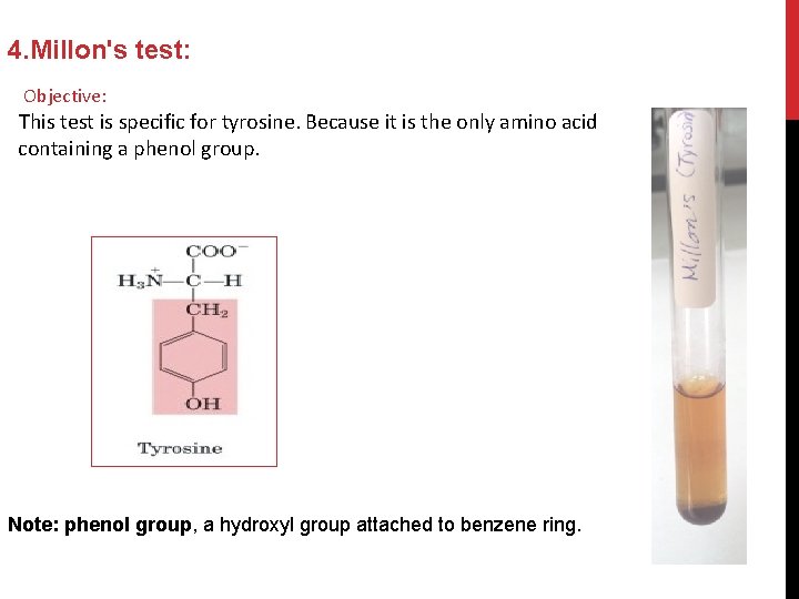 4. Millon's test: Objective: This test is specific for tyrosine. Because it is the