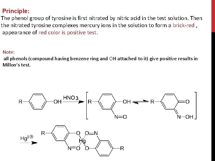 Principle: The phenol group of tyrosine is first nitrated by nitric acid in the