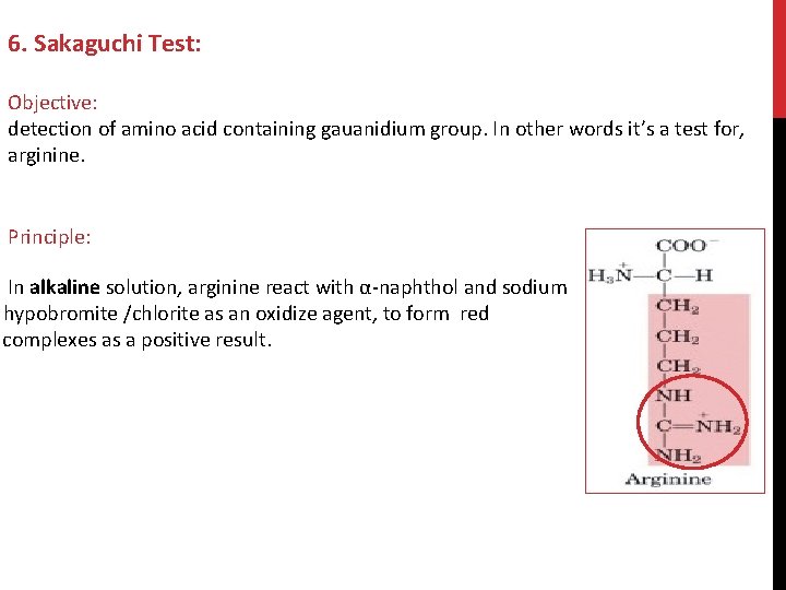 6. Sakaguchi Test: Objective: detection of amino acid containing gauanidium group. In other words