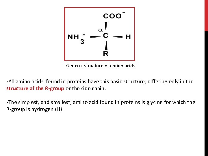 General structure of amino acids -All amino acids found in proteins have this basic