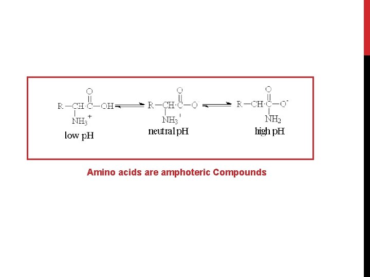 Amino acids are amphoteric Compounds 