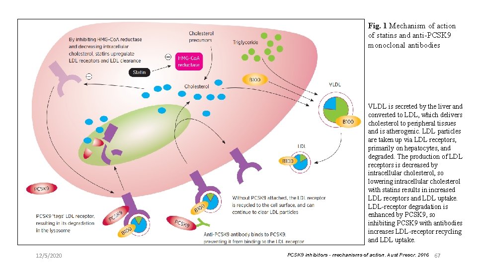 Fig. 1 Mechanism of action of statins and anti-PCSK 9 monoclonal antibodies VLDL is
