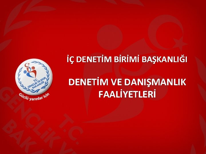 İÇ DENETİM BİRİMİ BAŞKANLIĞI DENETİM VE DANIŞMANLIK FAALİYETLERİ. 