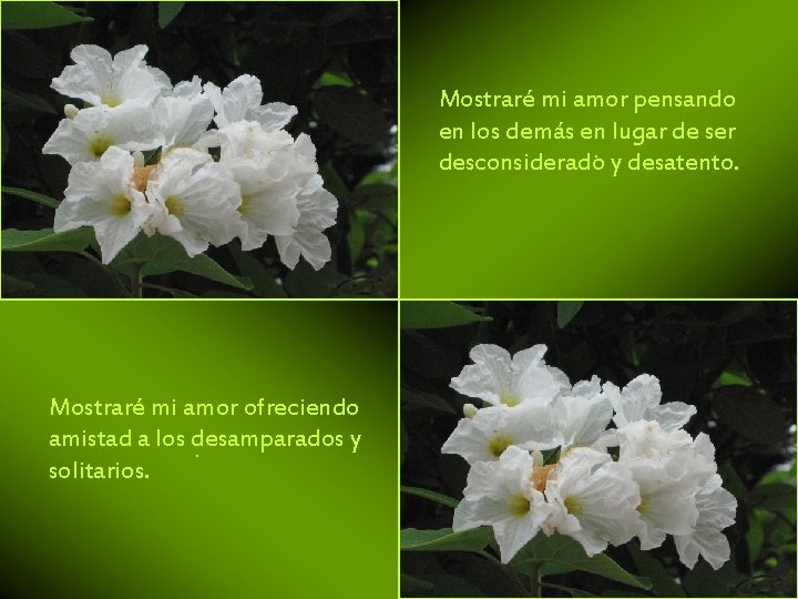 Mostraré mi amor pensando en los demás en lugar de ser desconsiderado. y desatento.