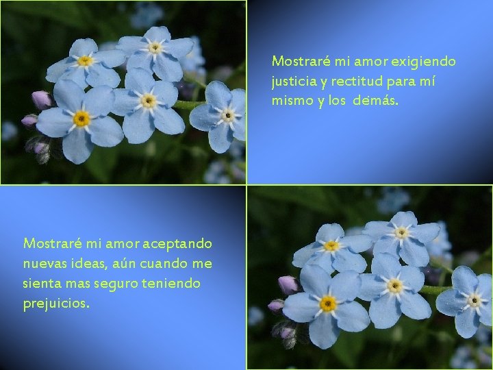 Mostraré mi amor exigiendo justicia y rectitud para mí. mismo y los demás. Mostraré