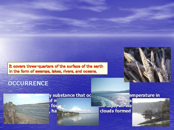 It covers three-quarters of the surface of the earth in the form of swamps,