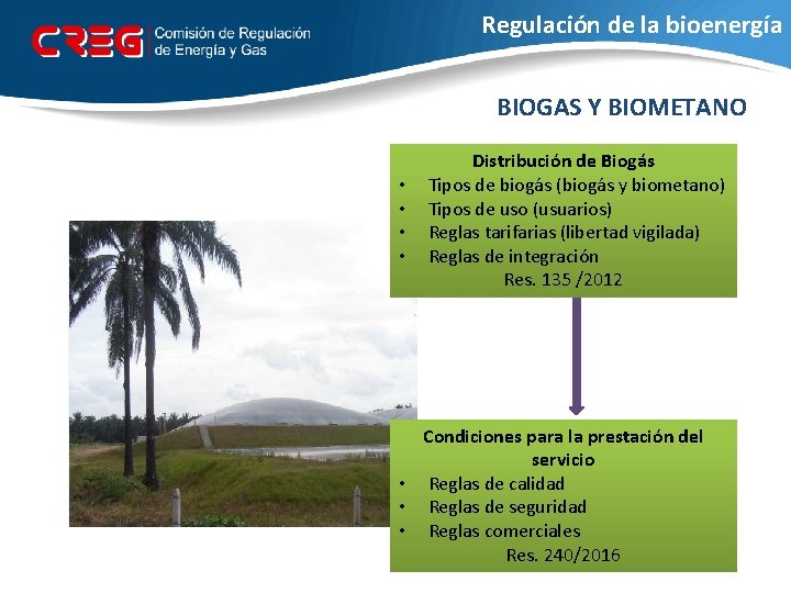 Regulación de la bioenergía BIOGAS Y BIOMETANO • • Distribución de Biogás Tipos de