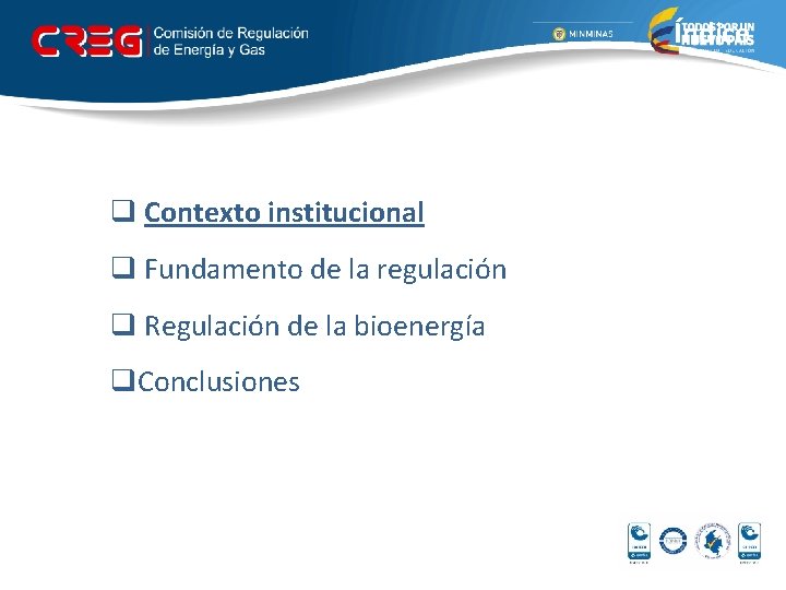 Índice q Contexto institucional q Fundamento de la regulación q Regulación de la bioenergía