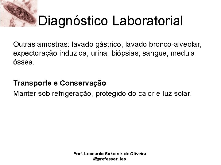 Diagnóstico Laboratorial Outras amostras: lavado gástrico, lavado bronco-alveolar, expectoração induzida, urina, biópsias, sangue, medula