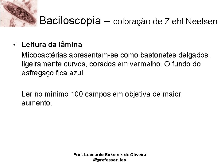 Baciloscopia – coloração de Ziehl Neelsen • Leitura da lâmina Micobactérias apresentam-se como bastonetes