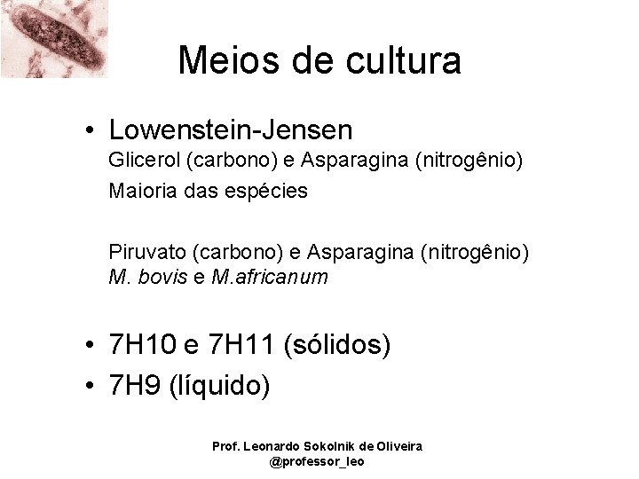 Meios de cultura • Lowenstein-Jensen Glicerol (carbono) e Asparagina (nitrogênio) Maioria das espécies Piruvato