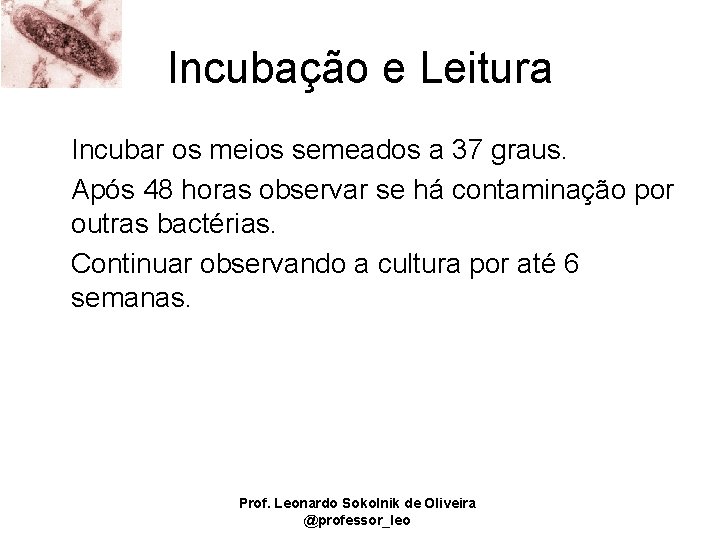 Incubação e Leitura Incubar os meios semeados a 37 graus. Após 48 horas observar