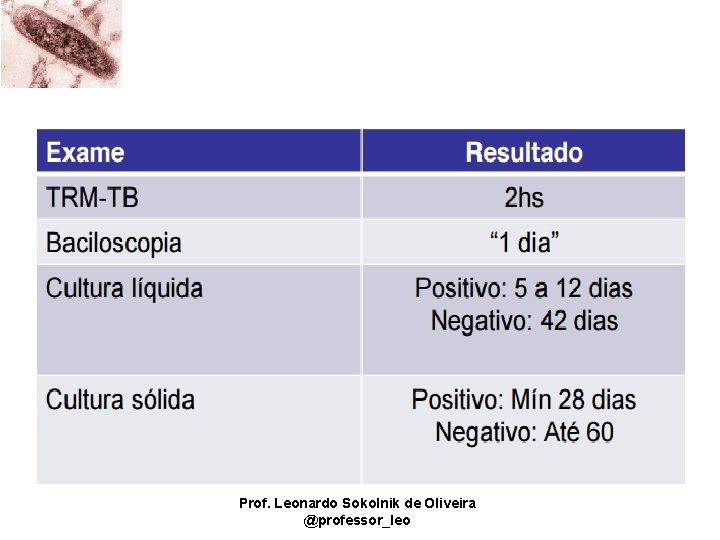 Prof. Leonardo Sokolnik de Oliveira @professor_leo 