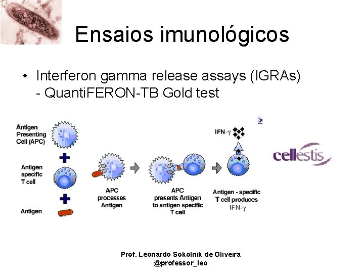 Ensaios imunológicos • Interferon gamma release assays (IGRAs) - Quanti. FERON-TB Gold test Prof.